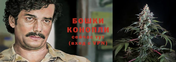 первитин Горнозаводск