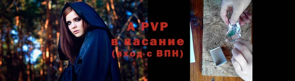 винт Горняк