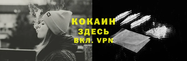 кристаллы Гусь-Хрустальный