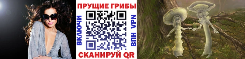 Псилоцибиновые грибы мицелий  мега вход  darknet формула  Камышин 